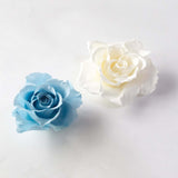 プリザーブドフラワー ビギナーズキット-verリングタベストリー