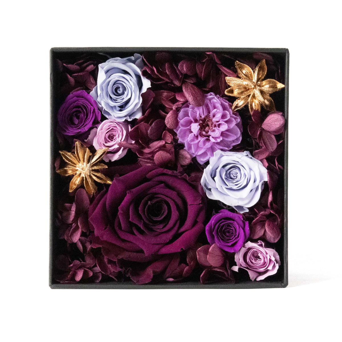 IMG_1486_1200x.jpg?v=1613803313